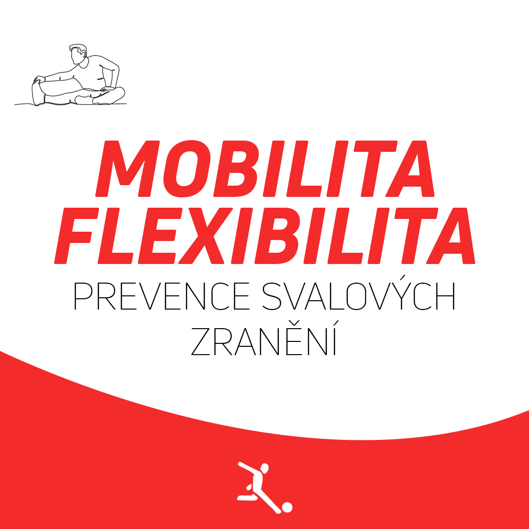 MOBILITA X FLEXIBILITA